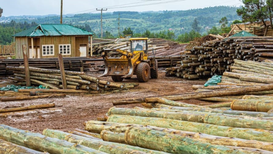 Singe Company yard and warehouse