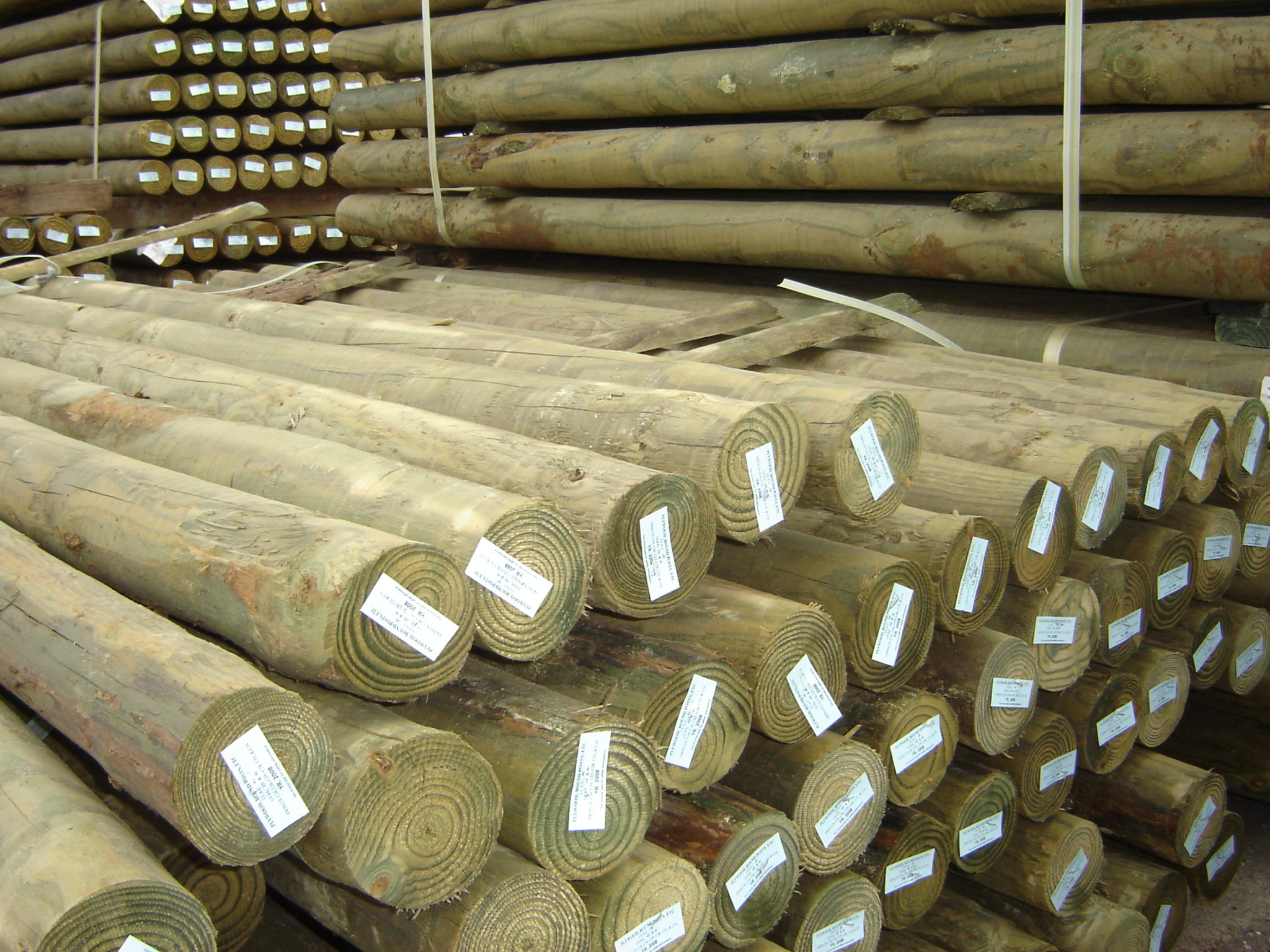 Pressure-treated pine post